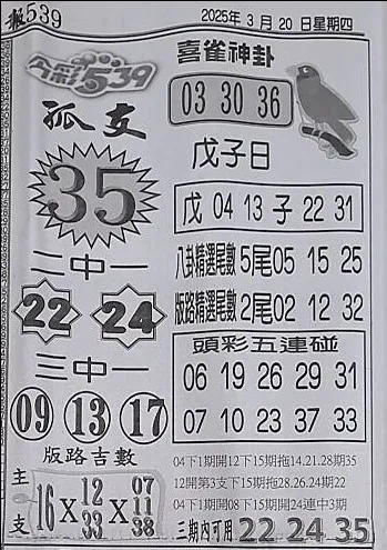 2025年03月20日-喜雀神掛539小黃單