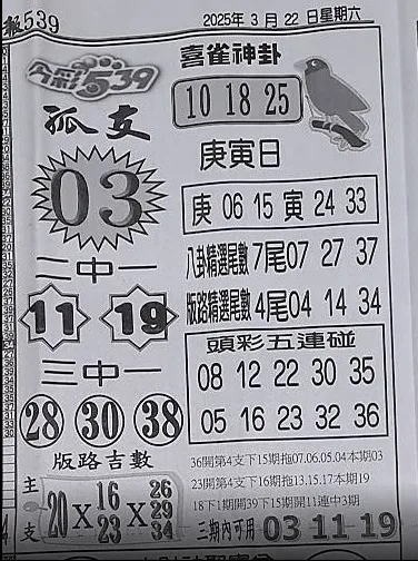 2025年03月22日-喜雀神掛539小黃單