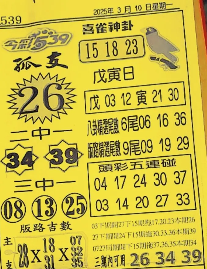 2025年03月10日-喜雀神掛539小黃單 
