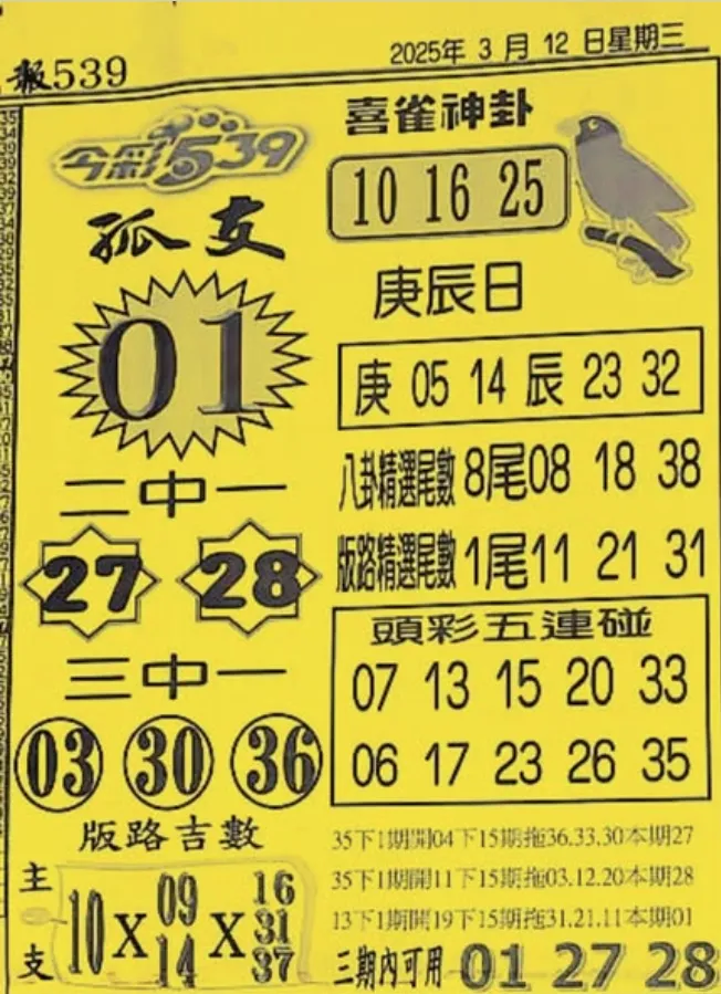 2025年03月12日-喜雀神掛539小黃單