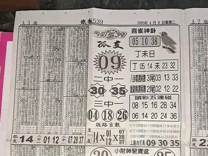 2025年04月08日-喜雀神掛539小黃單