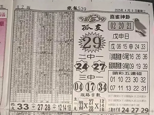 2025年04月09日-喜雀神掛539小黃單