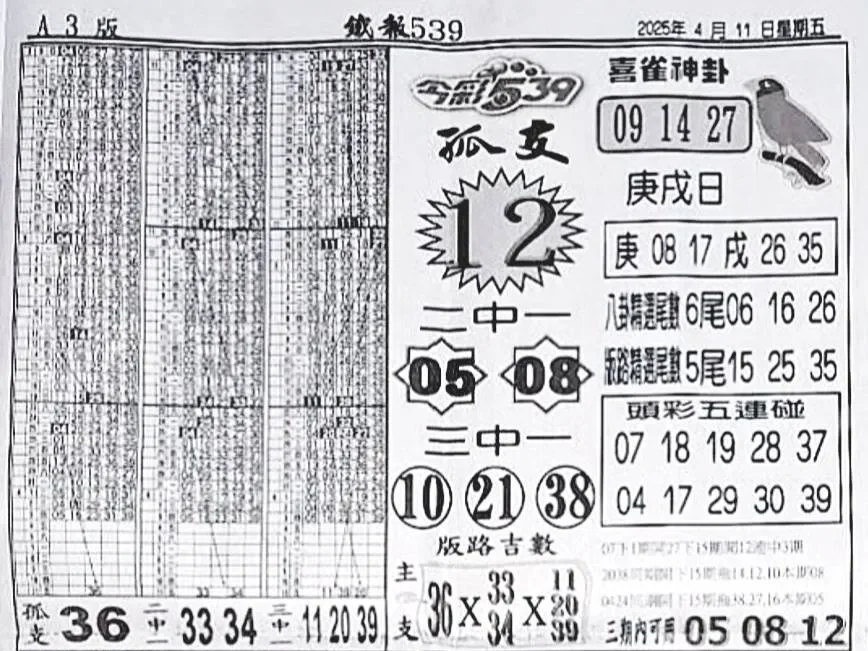 2025年04月11日-喜雀神掛539小黃單