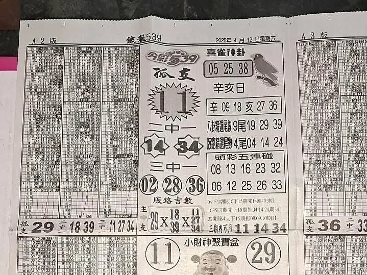 2025年04月12日-喜雀神掛539小黃單