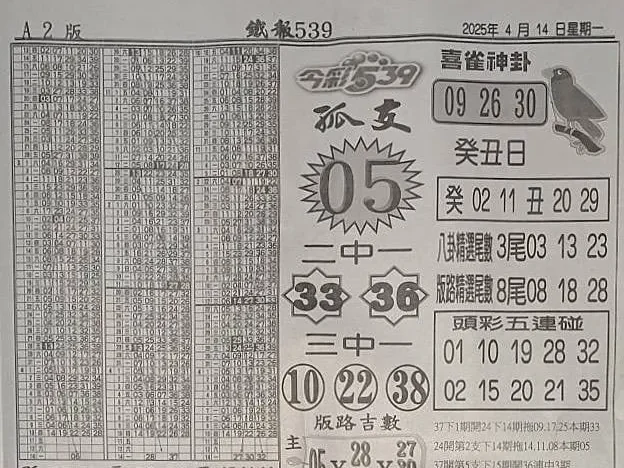 2025年04月14日-喜雀神掛539小黃單