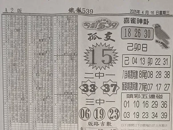 2025年04月16日-喜雀神掛539小黃單
