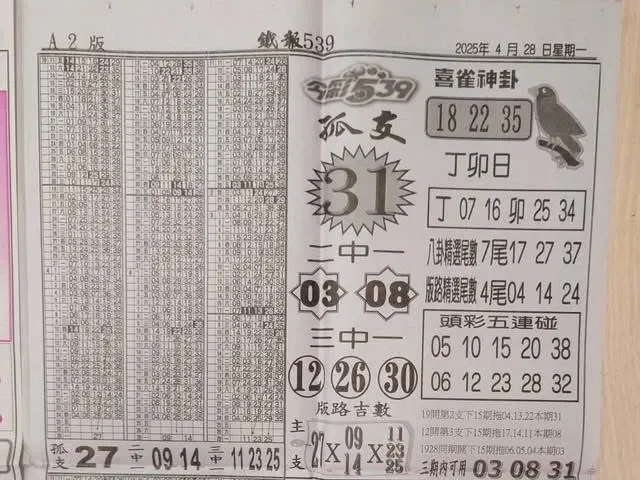 2025年04月28日-喜雀神掛539小黃單