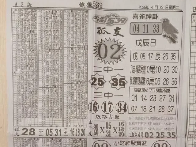 2025年04月29日-喜雀神掛539小黃單
