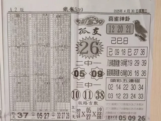 2025年04月30日-喜雀神掛539小黃單