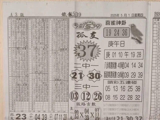 2025年05月01日-喜雀神掛539小黃單