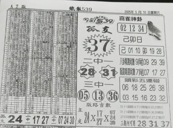 2025年05月10日-喜雀神掛539小黃單