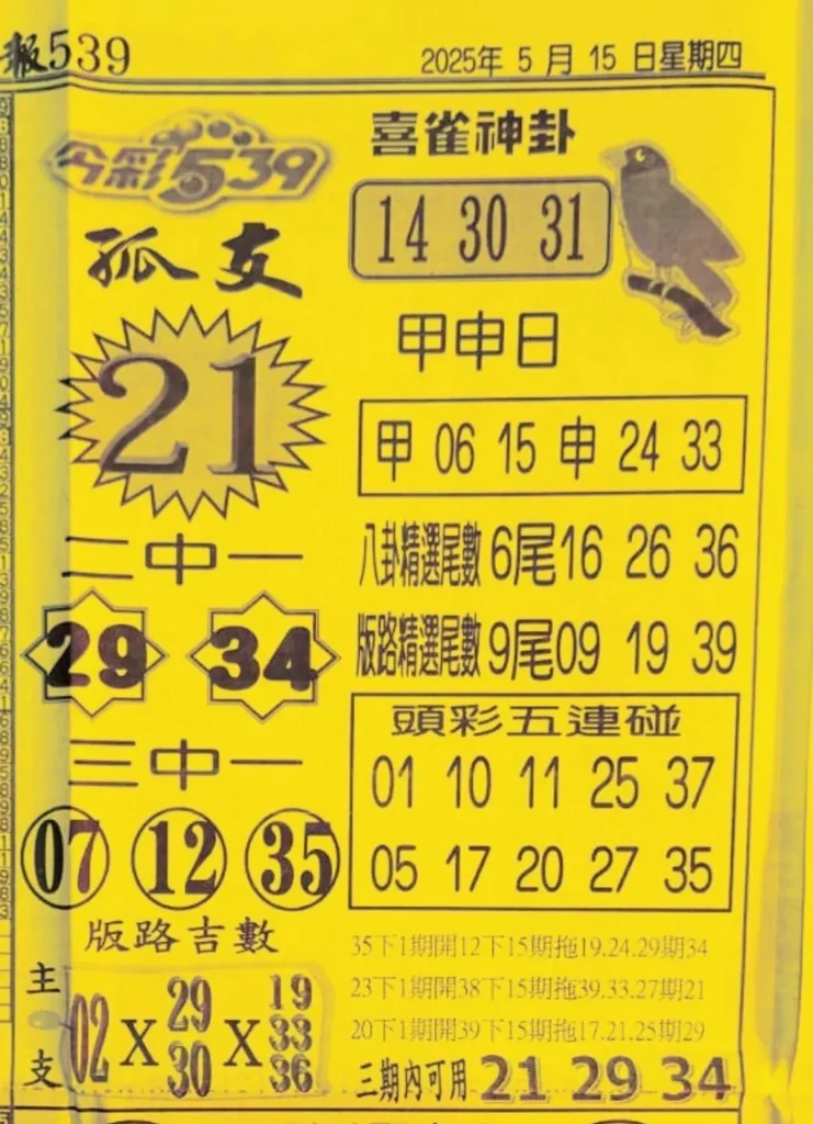 2025年05月15日-喜雀神掛539小黃單