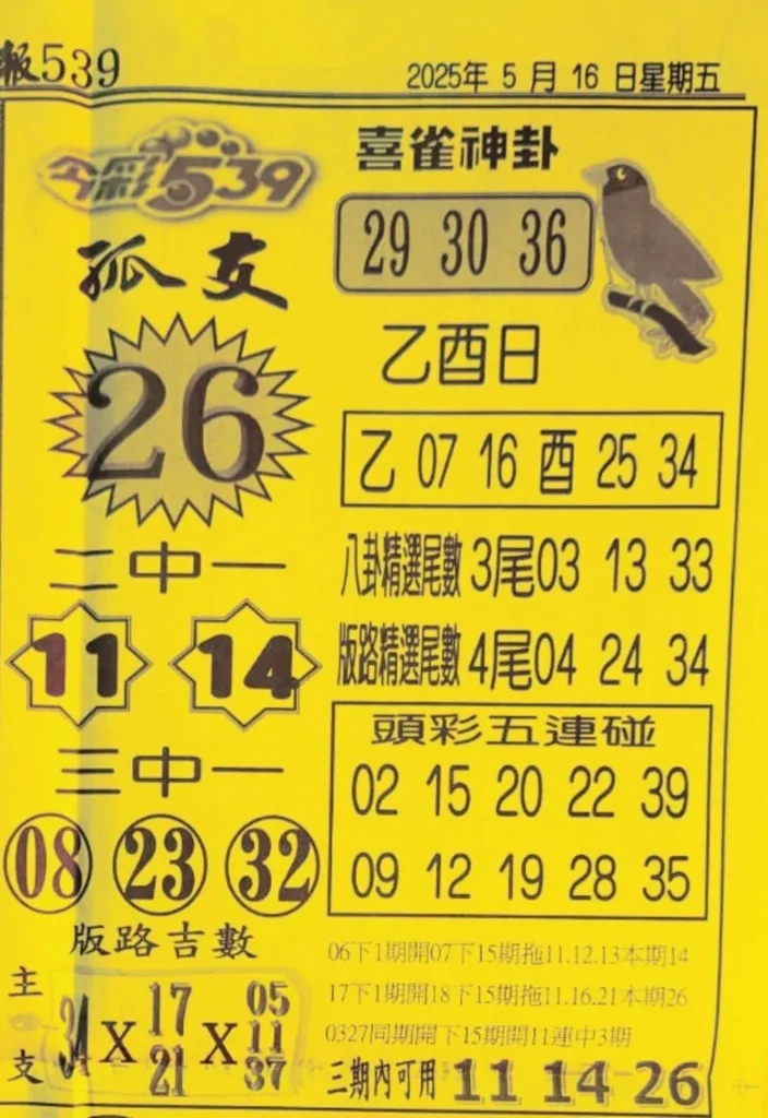 2025年05月16日-喜雀神掛539小黃單