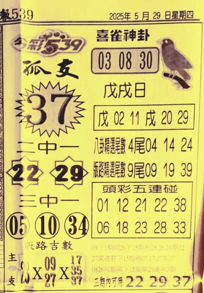 2025年05月29日-喜雀神掛539小黃單