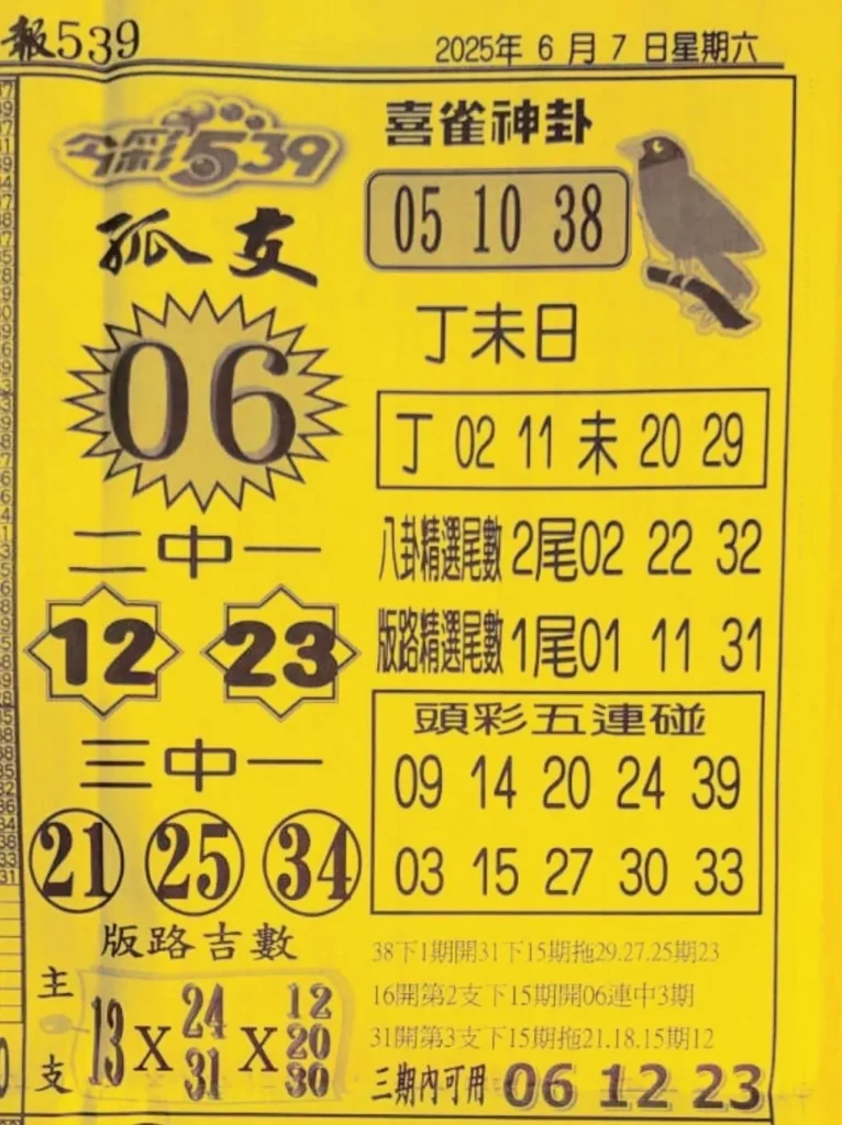 2025年06月07日-喜雀神掛539小黃單