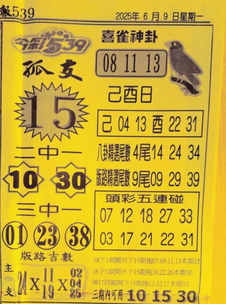 2025年06月09日-喜雀神掛539小黃單