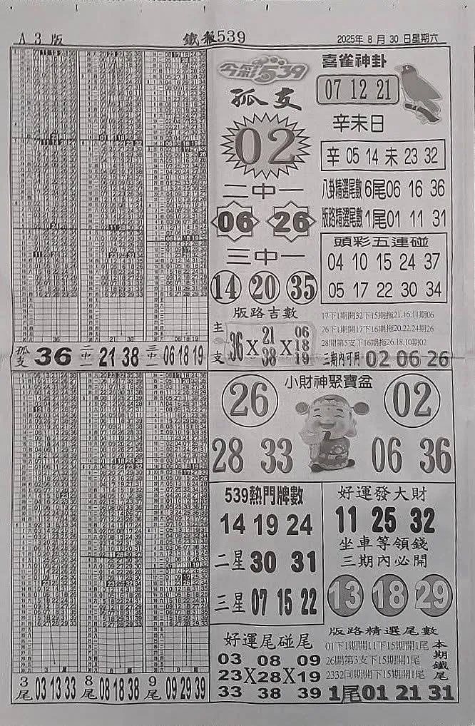 2025年08月30日-喜雀神掛539小黃單