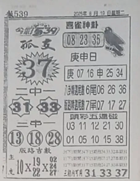 2025年08月19日-喜雀神掛539小黃單