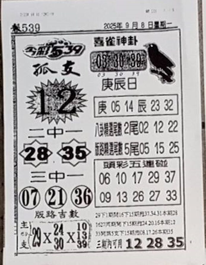 2025年09月08日-喜雀神掛539小黃單
