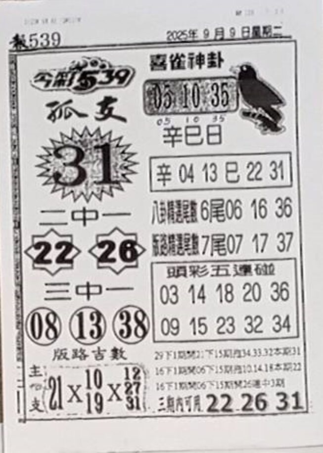 2025年09月09日-喜雀神掛539小黃單