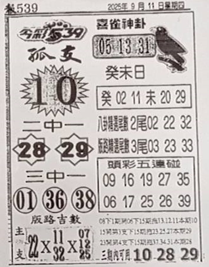 2025年09月11日-喜雀神掛539小黃單
