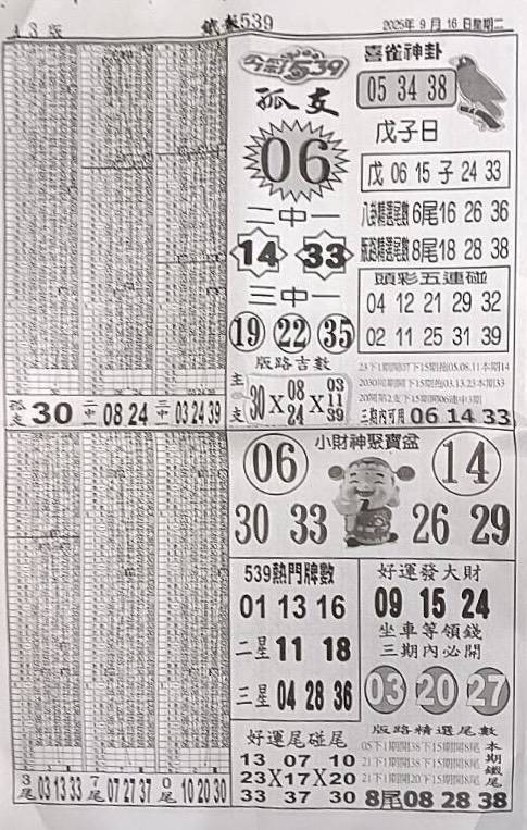 2025年09月16日-喜雀神掛539小黃單