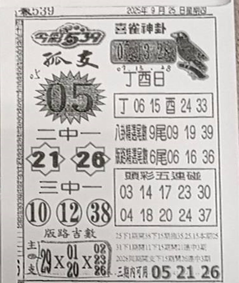 2025年09月25日-喜雀神掛539小黃單