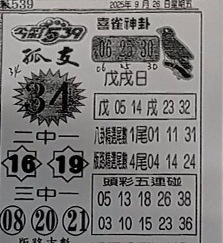2025年09月26日-喜雀神掛539小黃單